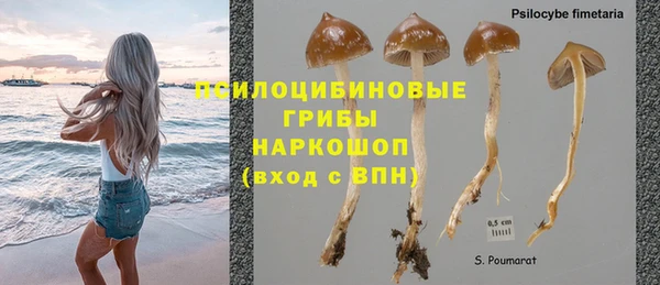 молекула духа Армянск